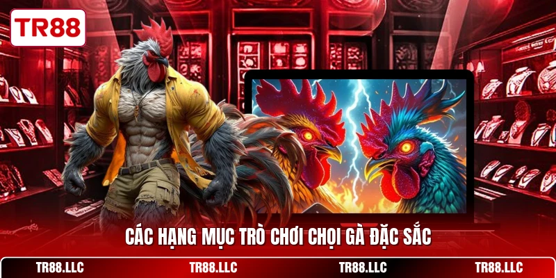 Các hạng mục trò chơi chọi gà đặc sắc