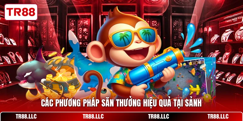 Các phương pháp săn thưởng hiệu quả tại sảnh