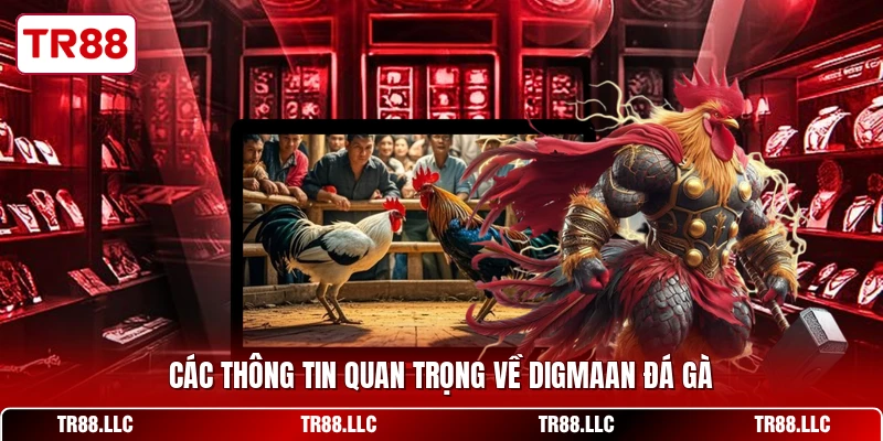 Các thông tin quan trọng về Digmaan đá gà