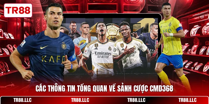 Các thông tin tổng quan về sảnh cược CMD368