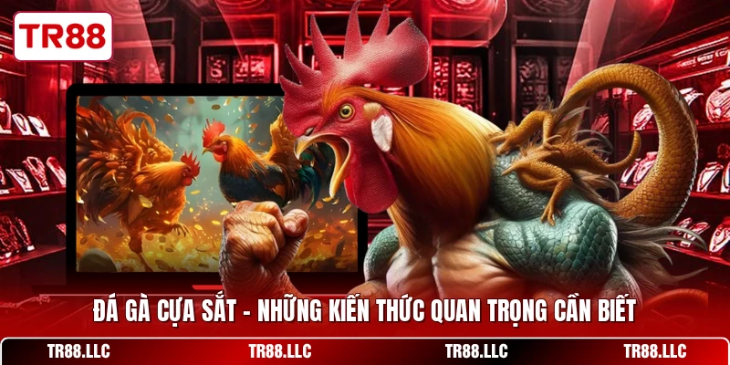 Đá Gà Cựa Sắt - Những Kiến Thức Quan Trọng Cần Biết