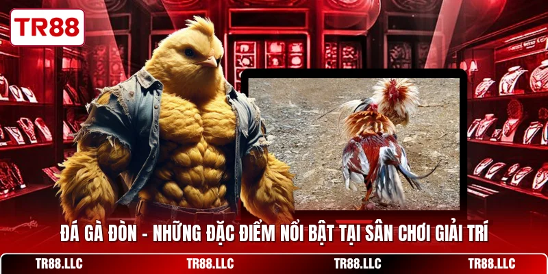 Đá Gà Đòn - Những Đặc Điểm Nổi Bật Tại Sân Chơi Giải Trí
