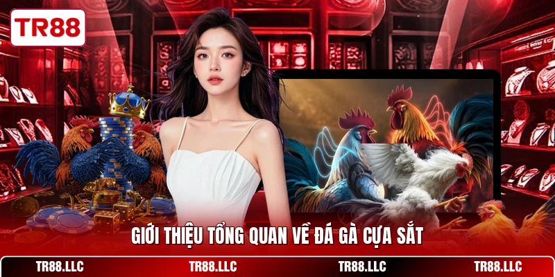 Giới thiệu tổng quan về đá gà cựa sắt