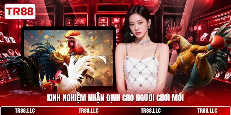 Kinh nghiệm nhận định cho người chơi mới