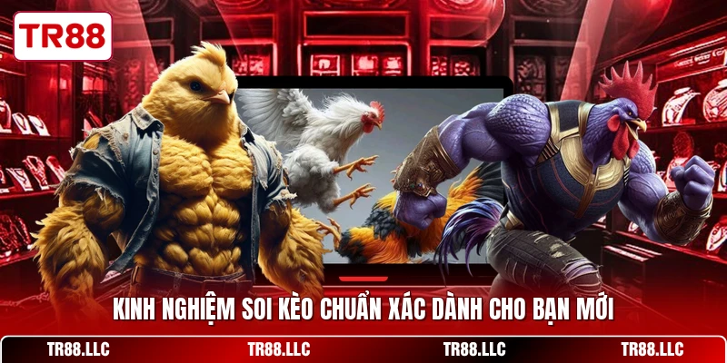 Kinh nghiệm soi kèo chuẩn xác dành cho bạn mới