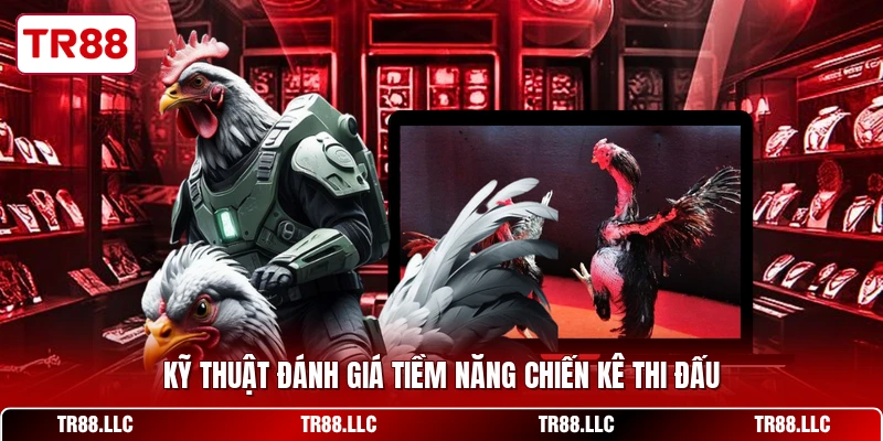 Kỹ thuật đánh giá tiềm năng chiến kê thi đấu