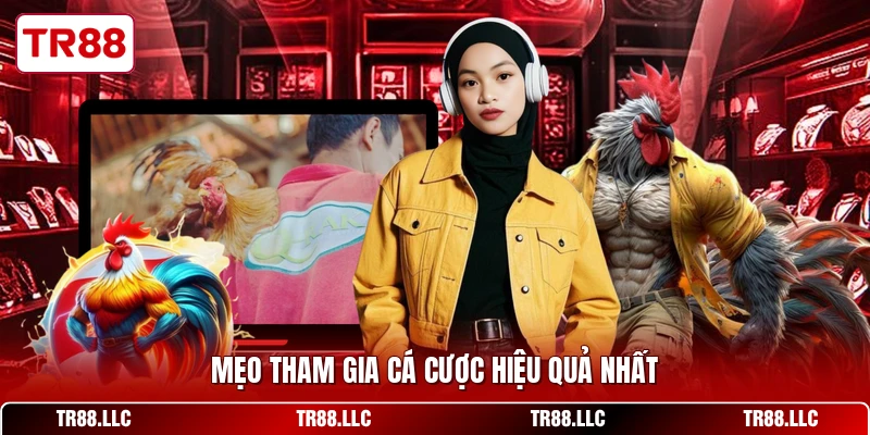 Mẹo tham gia cá cược hiệu quả nhất