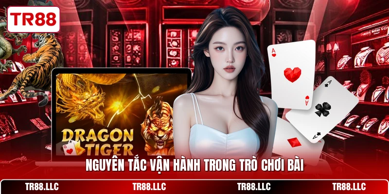 Nguyên tắc vận hành trong trò chơi bài