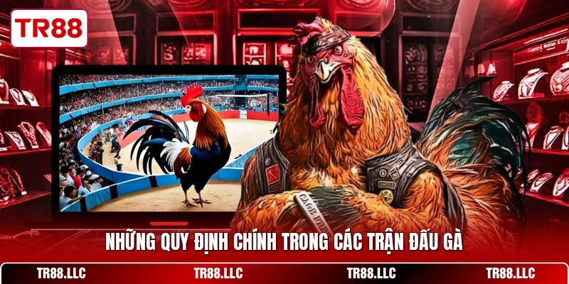 Những quy định chính trong các trận đấu gà