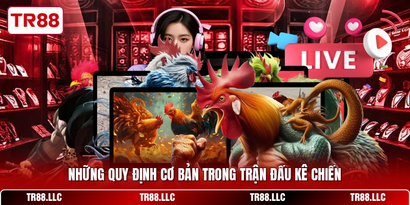 Những quy định cơ bản trong trận đấu kê chiến