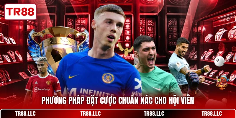 Phương pháp đặt cược chuẩn xác cho hội viên