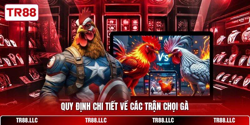 Quy định chi tiết về các trận chọi gà