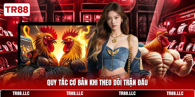 Quy tắc cơ bản khi theo dõi trận đấu