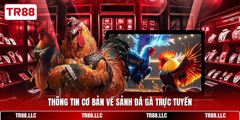 Thông tin cơ bản về sảnh đá gà trực tuyến