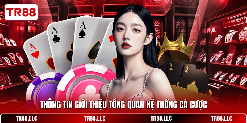 Thông tin giới thiệu tổng quan hệ thống cá cược