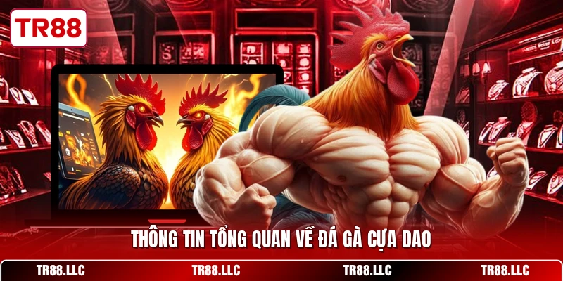 Thông tin tổng quan về đá gà cựa dao