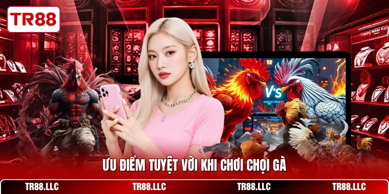 Ưu điểm tuyệt vời khi chơi chọi gà